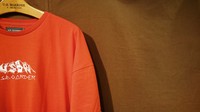 _20180626_162107.JPG